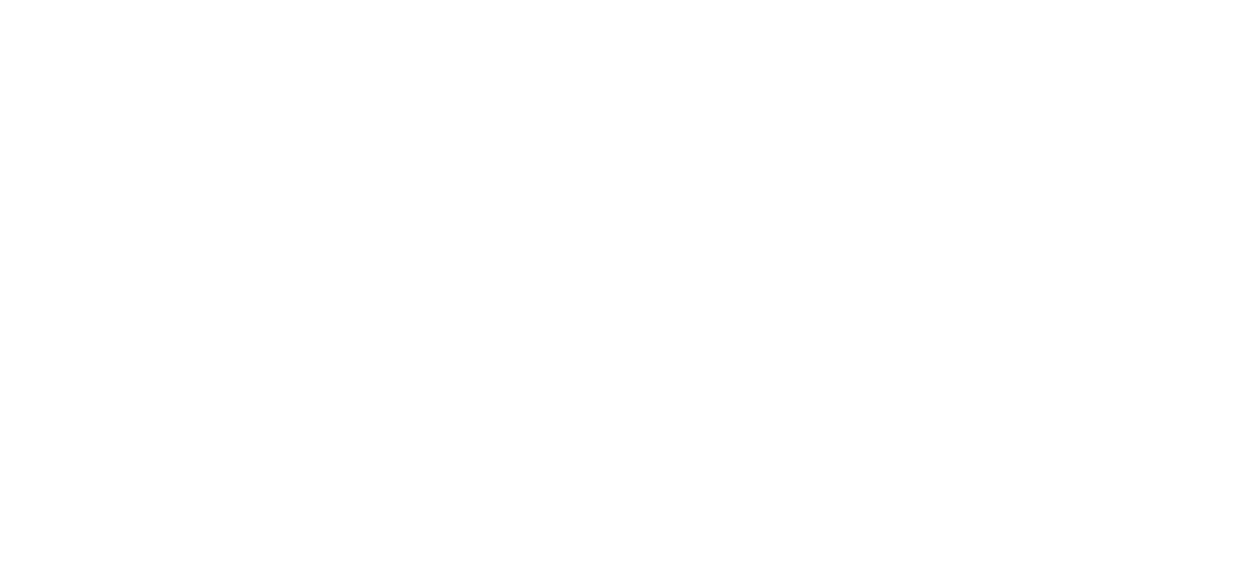 Logo-oapgroup